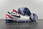 NIKE）Zoom Kobe 6 ZK6 MAX CW2190 101