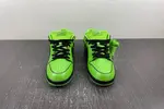 The Powerpuff Girls x Nike SB Dunk Low FZ8319-300