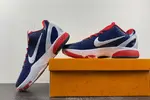 NIKE Zoom Kobe 429659-003