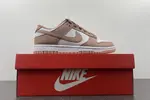 NK Dunk Low Retro DD1503-118