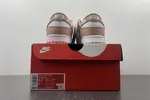 NK Dunk Low Retro DD1503-118