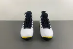 Air Jordan 17 Low “Lightning”    FJ0395-100