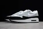 Nike Air Max 1 Wolf Grey AH8145-003