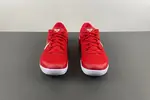 Protro 'University Red' HF9550-600