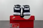 Nike Dunk Mid DV0830 102