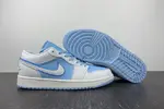 Nike Air Jordan 1 Low AJ1 DV1299-104