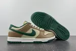 Nike Dunk Low Retro FB7160-231