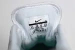 Nike Air Max Anniversary Watermelon  AH8145-106