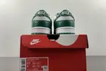 Nike Dunk Low SB DH4401-102