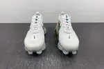 Nike Air Max Scorpion  DJ4701-100