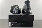 Air Jordan 17 OG  303891-004