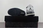 Air Jordan 3 GS “Hide N’ Sneak” DX6665-100