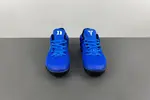 Nike Kobe 8 Pit Viper 555035-202