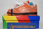 Concepts x Nike SB Dunk Low FD8776-800