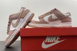 NK Dunk Low Retro DD1503-118