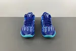 Nike Kobe 5 Protro “X-Ray” HJ4303-400