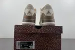 Air Jordan 3 “Palomino”  CT8532-102
