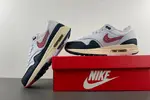 Nike Air Max 1 DH1348-146