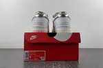 Nike Dunk Low GS FN8913-141