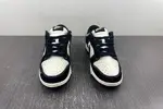 Nike Dunk Low fc1688-300
