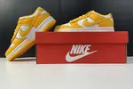 NIKE DUNK LOW DD1503-800