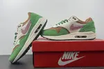 Nike Air Max 1 NH “Treeline”  DR9773-300