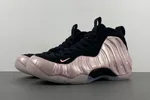 Nike Air Foamposite One “DMV” HJ4187-001