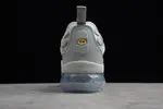 Nike Air VaporMax Plus Cool Grey 924453-005