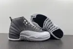 Air Jordan 12 STEALTH  CT8025-610