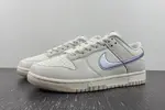Nike Dunk Low Metallic Purple DX5930-100