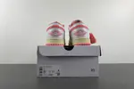 Air Jordan 1 Low DC0774-109