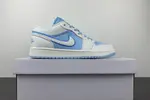 Nike Air Jordan 1 Low AJ1 DV1299-104
