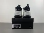Nike Air Foamposite Pro “Wolf Grey” HF0794-001