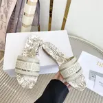 Dior Slippers