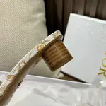 Dior Slippers