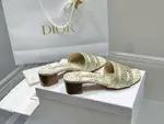Dior Slippers