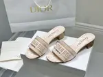Dior Slippers