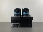 Air Jordan 1 Low “Fortune Fly” HQ3442-001