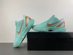 Nike Kobe 6 FE2025-109