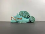 Nike Kobe 6 FE2025-109