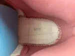 Air Jordan 12 GS 2025 510815-600