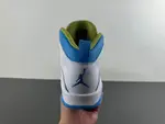 Air Jordan 10 HJ6779-114