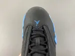 Air Jordan 14 “487471-002