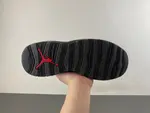 .Air Jordan 10 “Shadow”  HJ6779-001
