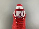 Air Jordan 4 FV5029-600