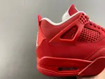 Air Jordan 4 FV5029-600