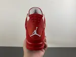Air Jordan 4 FV5029-600