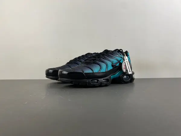 Nike Air Max Plus 'Black Dusty Cactus' dm0032-016