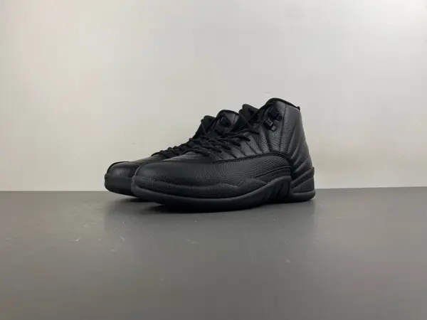 AIR JORDAN 12 CT8013-010