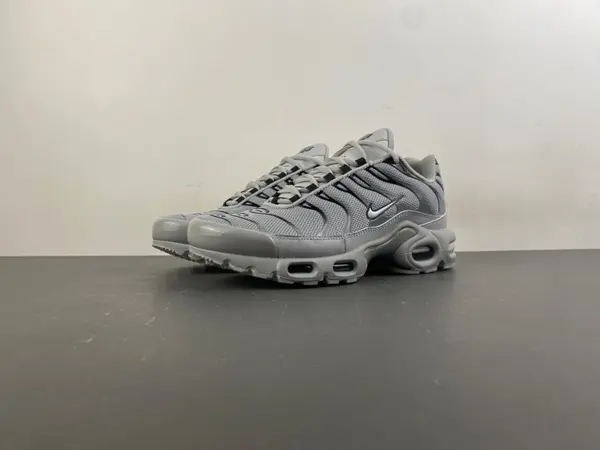 Nike Air Max Plus TN 'Wolf Grey TN 852630-021